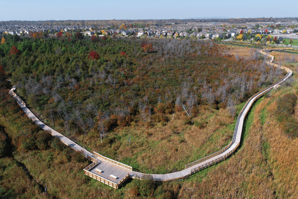 Findlay Creek